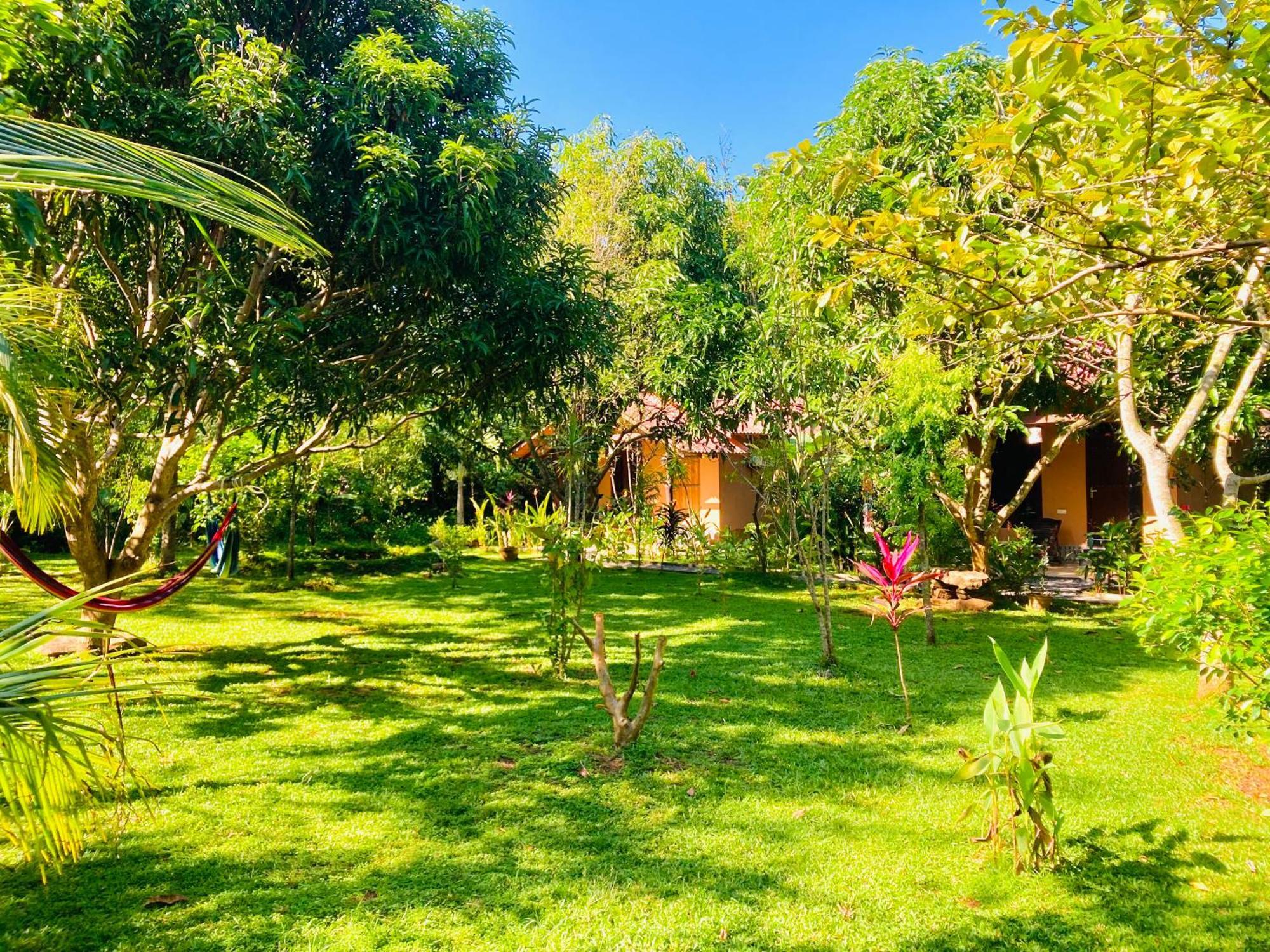 Suncity Privacy Cottages Udawalawe Dış mekan fotoğraf